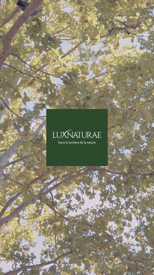 Pentarome BOIS - Colère et frustration